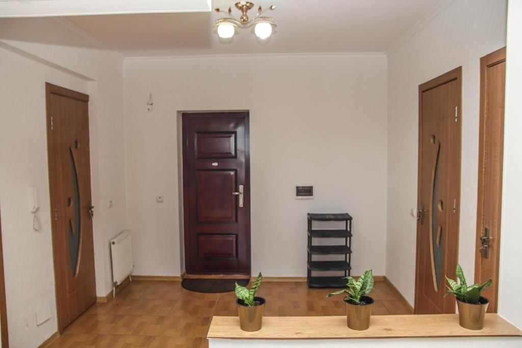 Апартаменты Capital Apartments Кишинёв-39